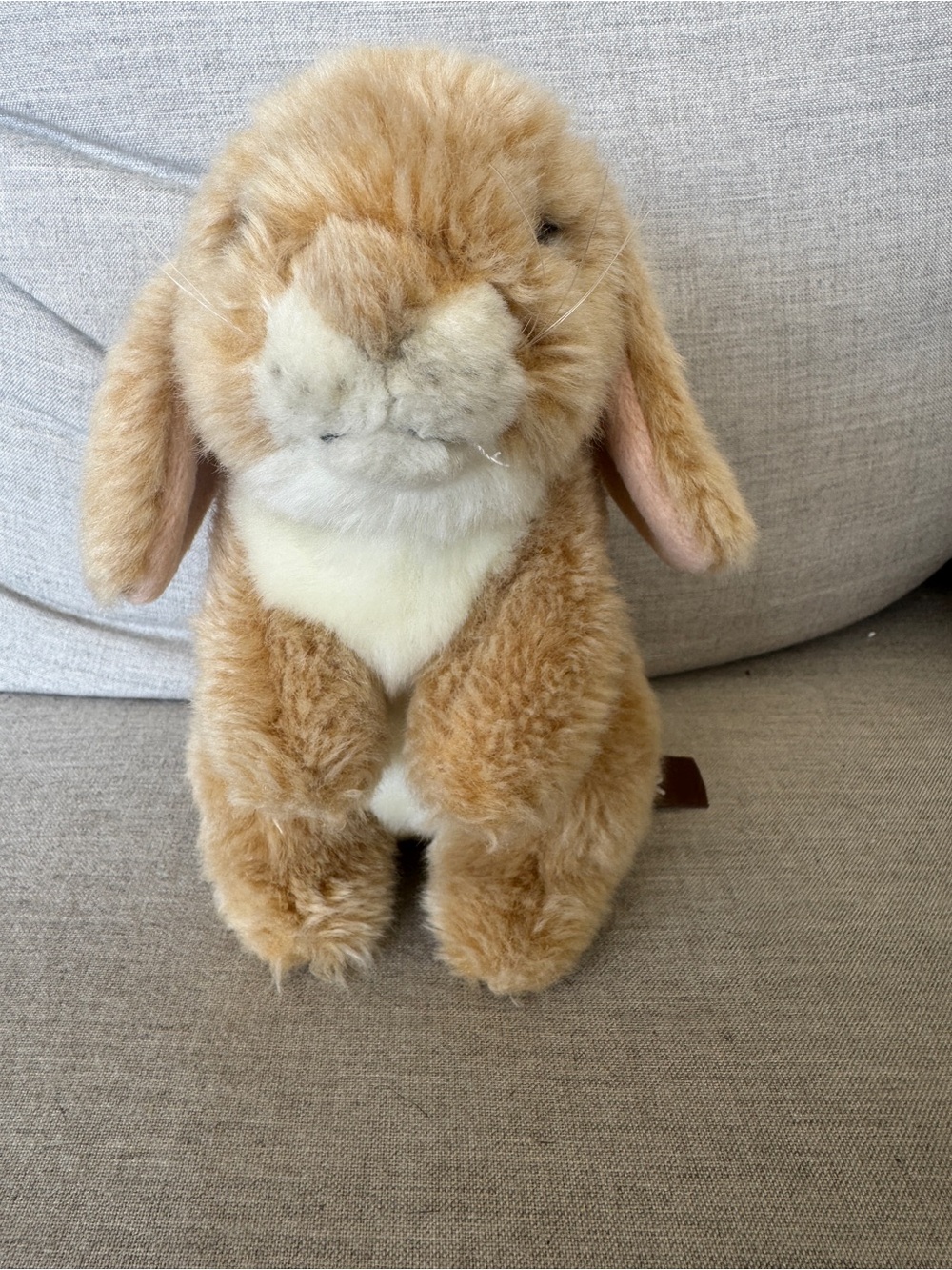 Plush Small Pet Bunny Toy - Tan and Cream